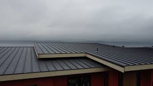 Best Roof Ventilation Installation  in Pahoa, HI